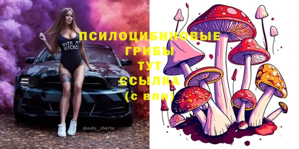 2c-b Володарск