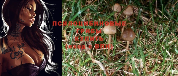 тгк Волосово