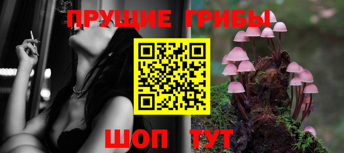 купить наркотики сайты  Псилоцибиновые грибы мухоморы  Вход с VPN  Псилоцибиновые грибы Psilocybine cubensis  Всеволожск 
