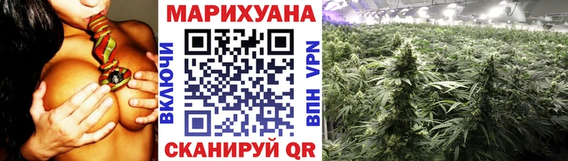 Бошки марихуана VHQ  Всеволожск 